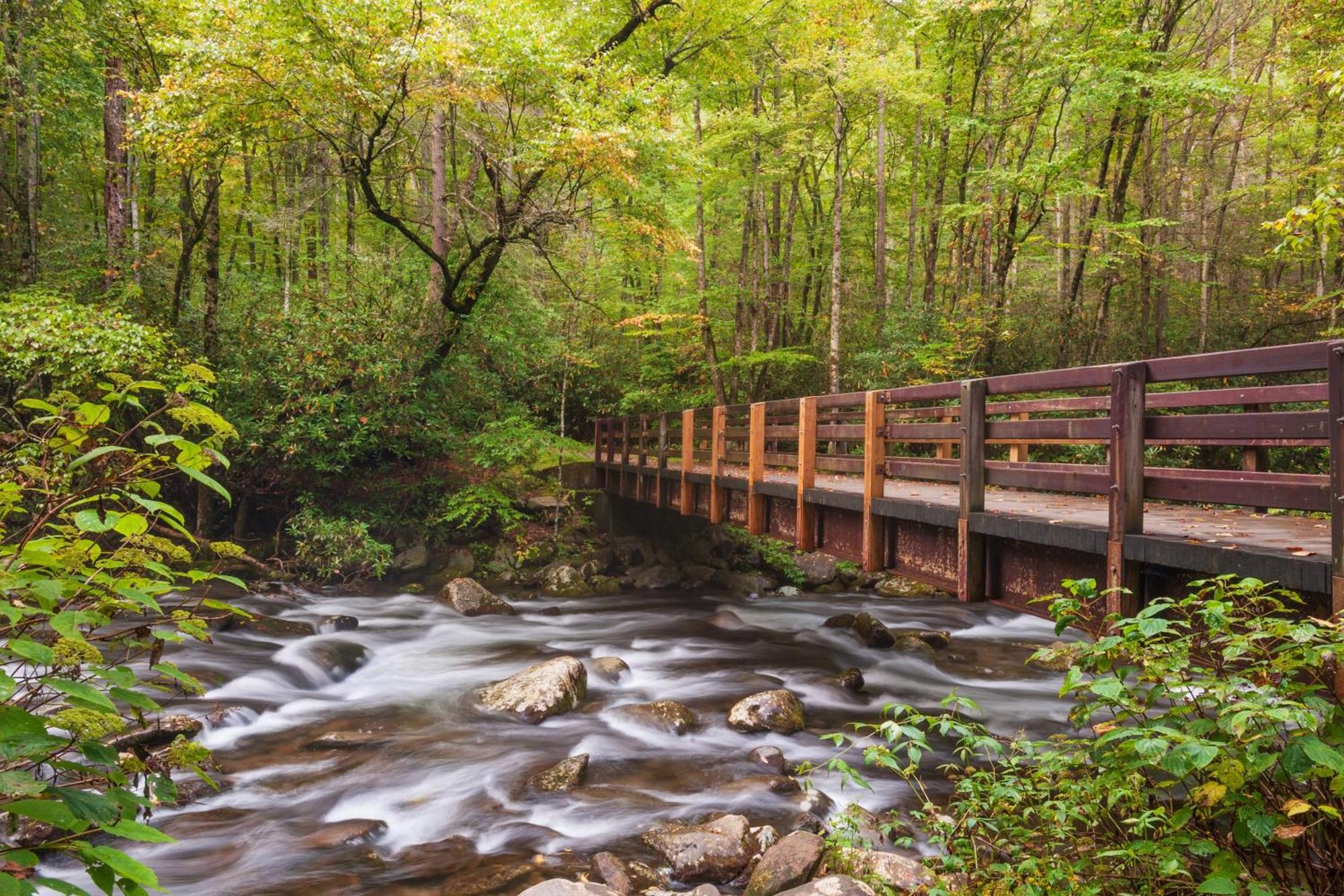 Serenity Heights, Amazing Views, Hot Tub Pool Access, 1089 Free Tickets Each Paid Day, Dollywood Gatlinburg Zewnętrze zdjęcie