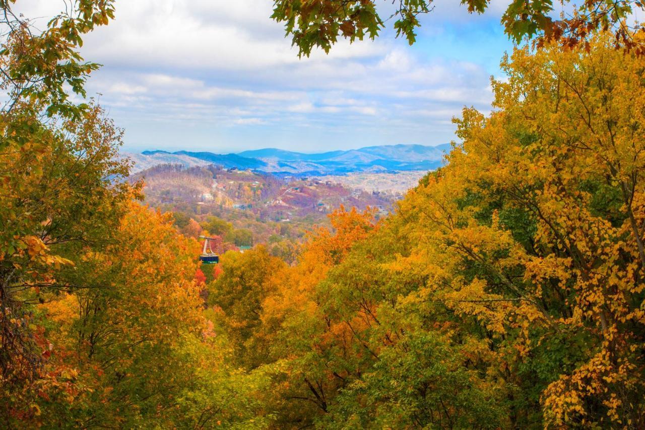 Serenity Heights, Amazing Views, Hot Tub Pool Access, 1089 Free Tickets Each Paid Day, Dollywood Gatlinburg Zewnętrze zdjęcie